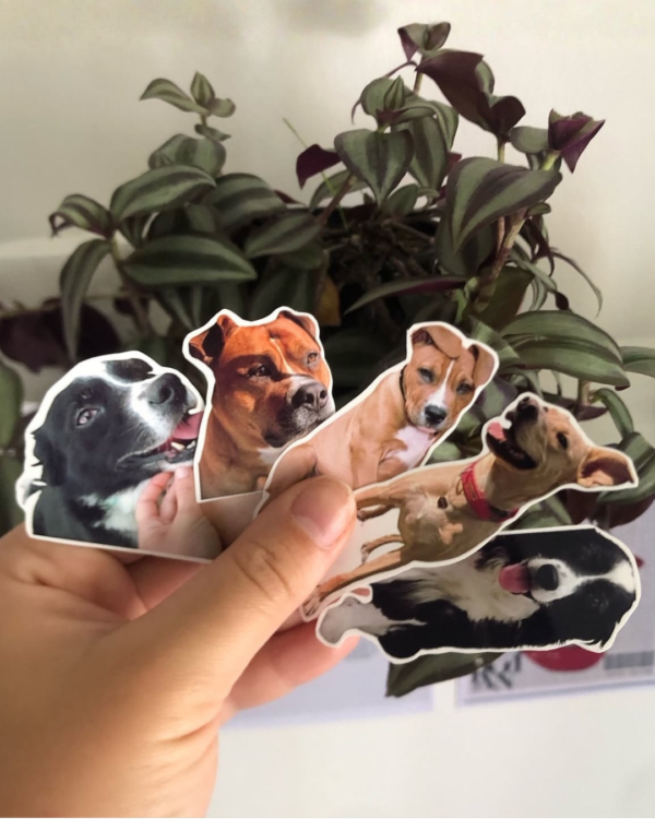 34 Stickers personalizados
