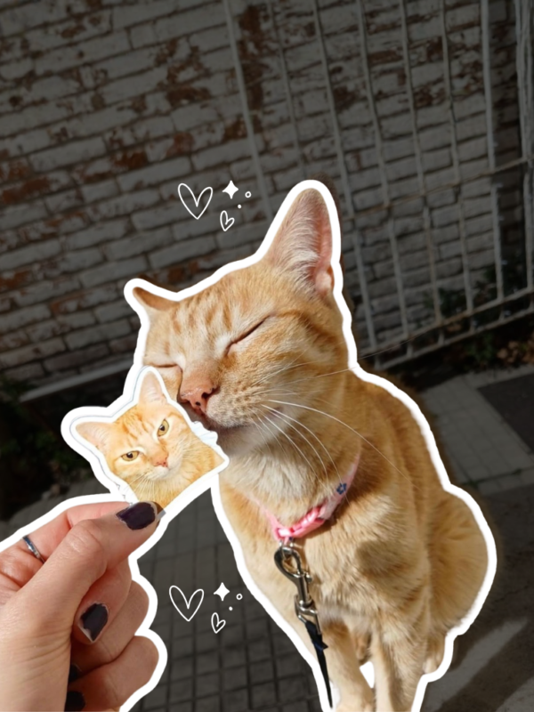 Stickers personalizados