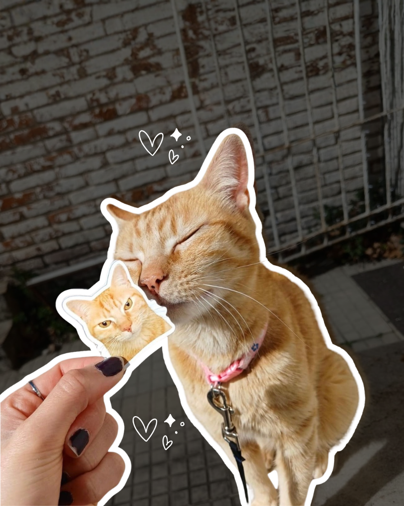 Stickers personalizados