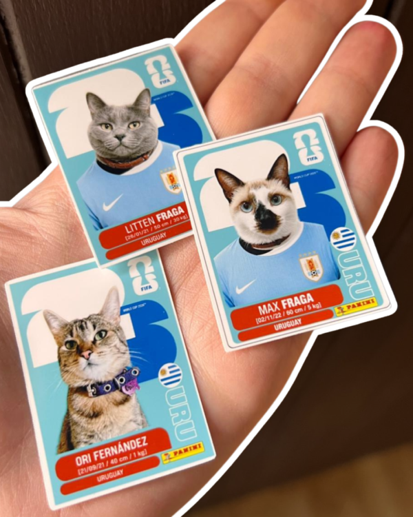 Figuritas del mundial personalizadas