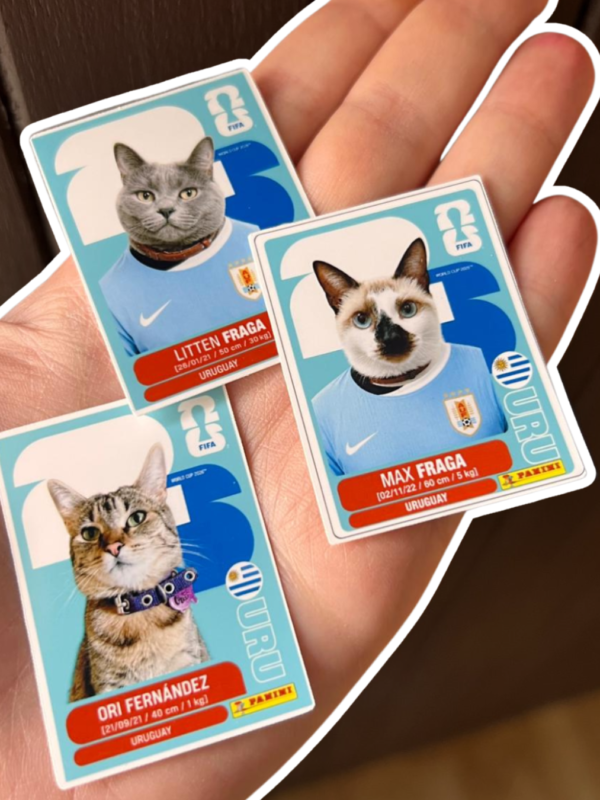 Figuritas del mundial personalizadas